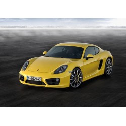 Accessori Porsche Cayman 981C (2013 - 2016)